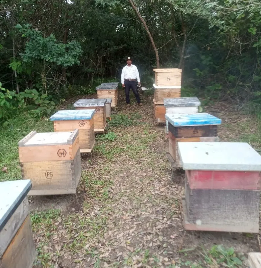 Api Productos La Colmena​