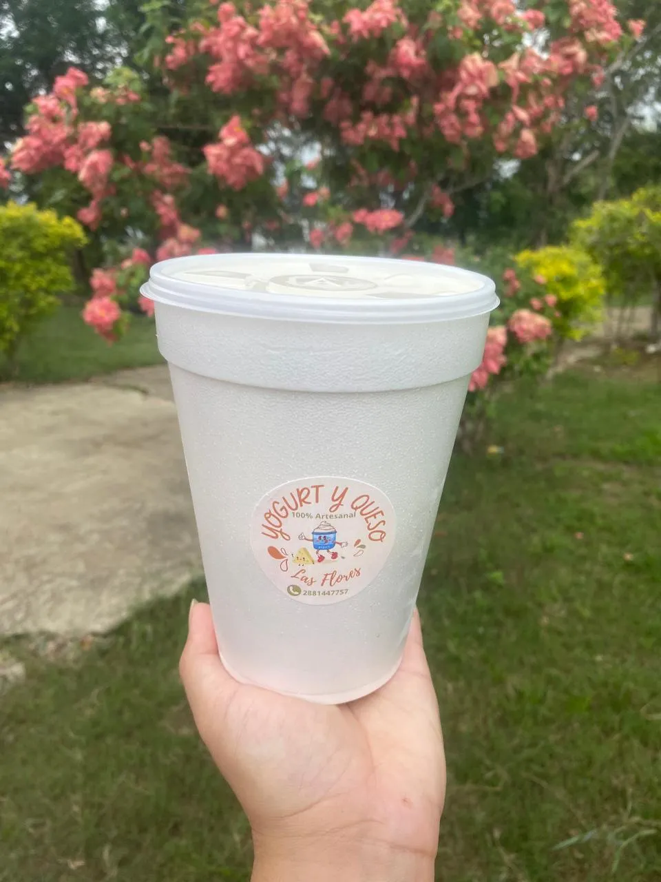 Yogurt y Queso Artesanal Las Flores