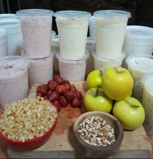 Yogurt y Queso Artesanal Las Flores